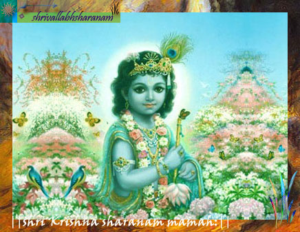 shri-krishna-avtaar